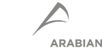 logo German Arabian Advisory & Business Center